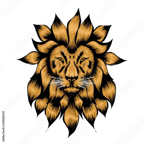 head of lion