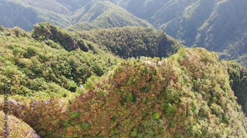 Aerial view of Odaigahara in autumn photo