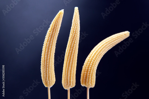 three pickled corn on a fork close-up on a dark blue background. food and vegetables