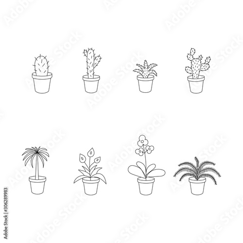 Set with indoor flowers. Black and white vector illustration.