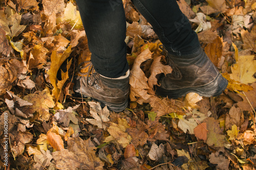 Mist and golden leaves in Beskydy mountains