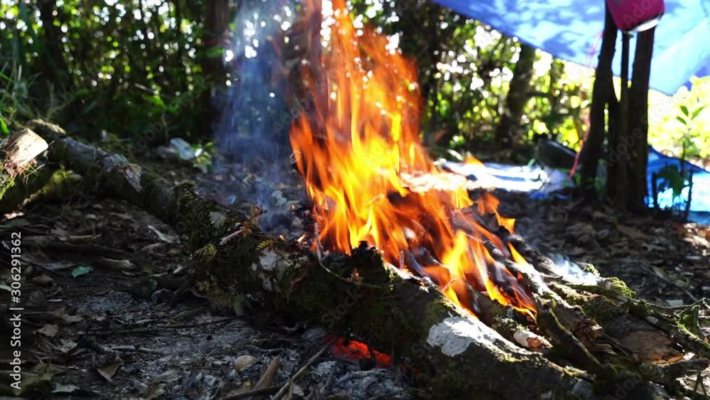 The flame of a campfire in the forest The flame of a campfire in the forest