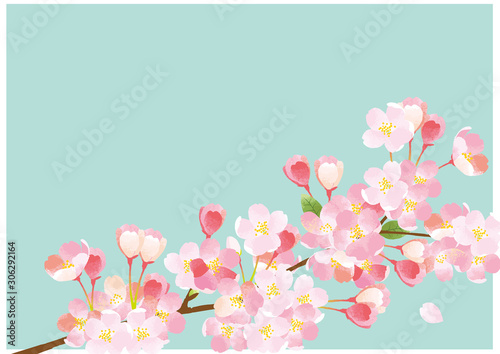 桜 水彩風イラスト Stock ベクター Adobe Stock 桜 水彩風イラスト Stock ベクター Adobe Stock