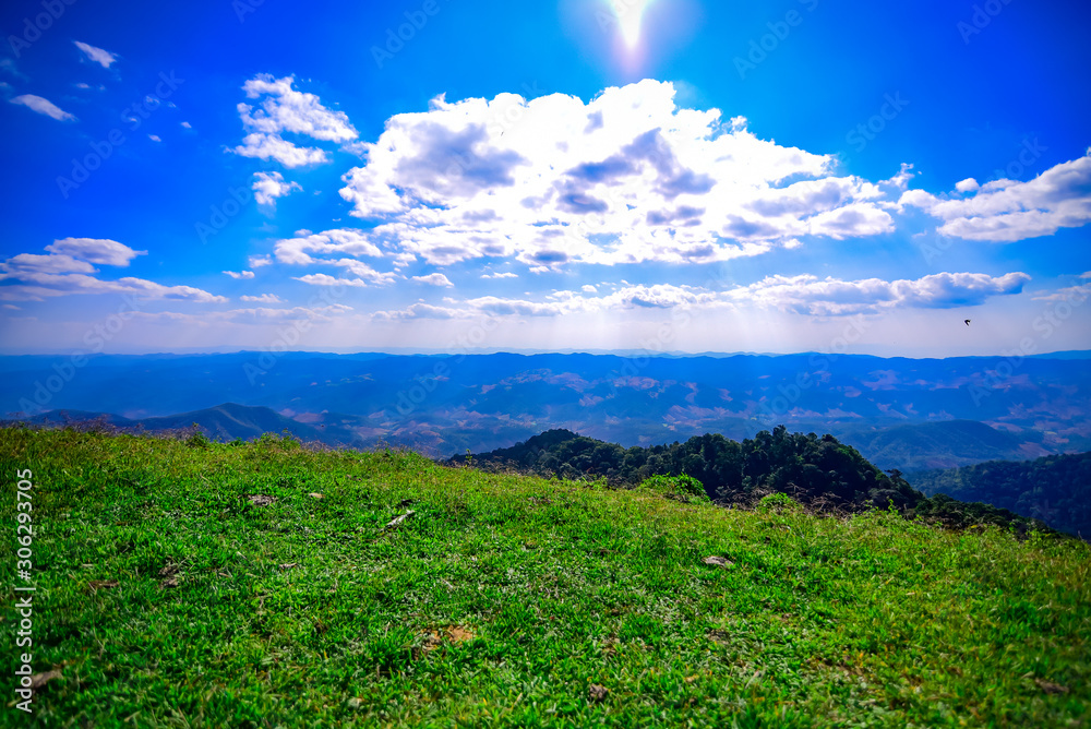 green field and blue sky