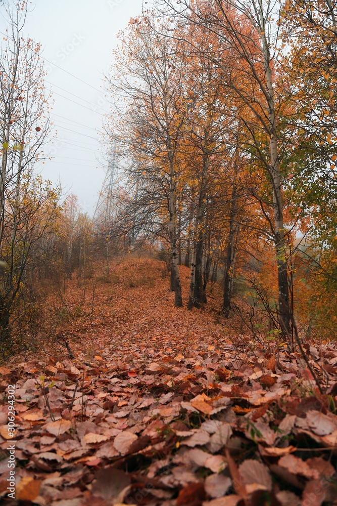 autumn forest nature image, scenic view mountains. autumn forest nature image, scenic view mountains.