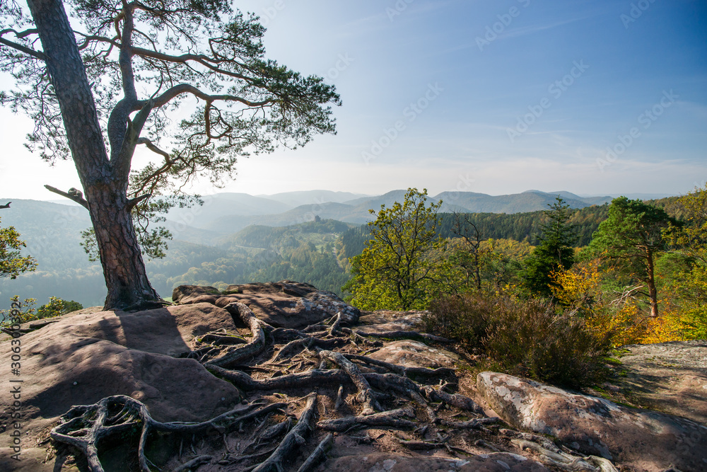 Fotografie Herbst am Krappenfels