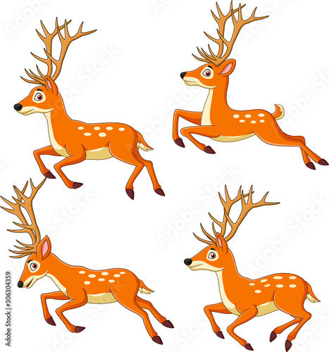 Set of Reindeer cartoon isolated on white background