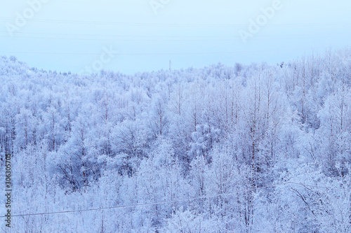 Picturesque view of snow trees and blue sky. Winter landscape. The Northern beauty. Selective focus