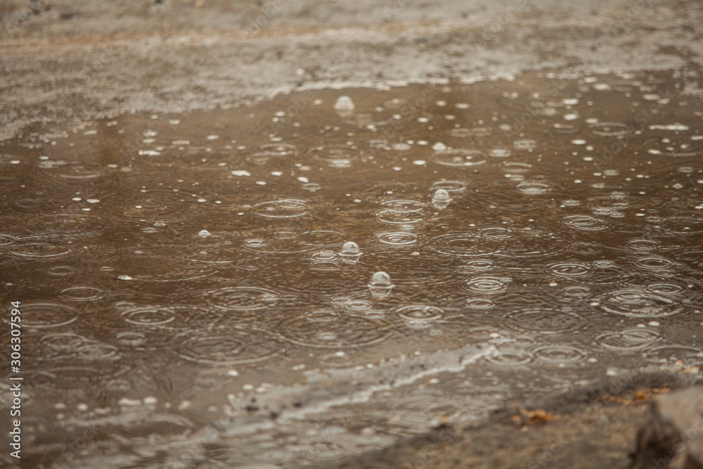 water on the beach