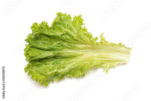 Green lettuce leaf isolated on the white background.