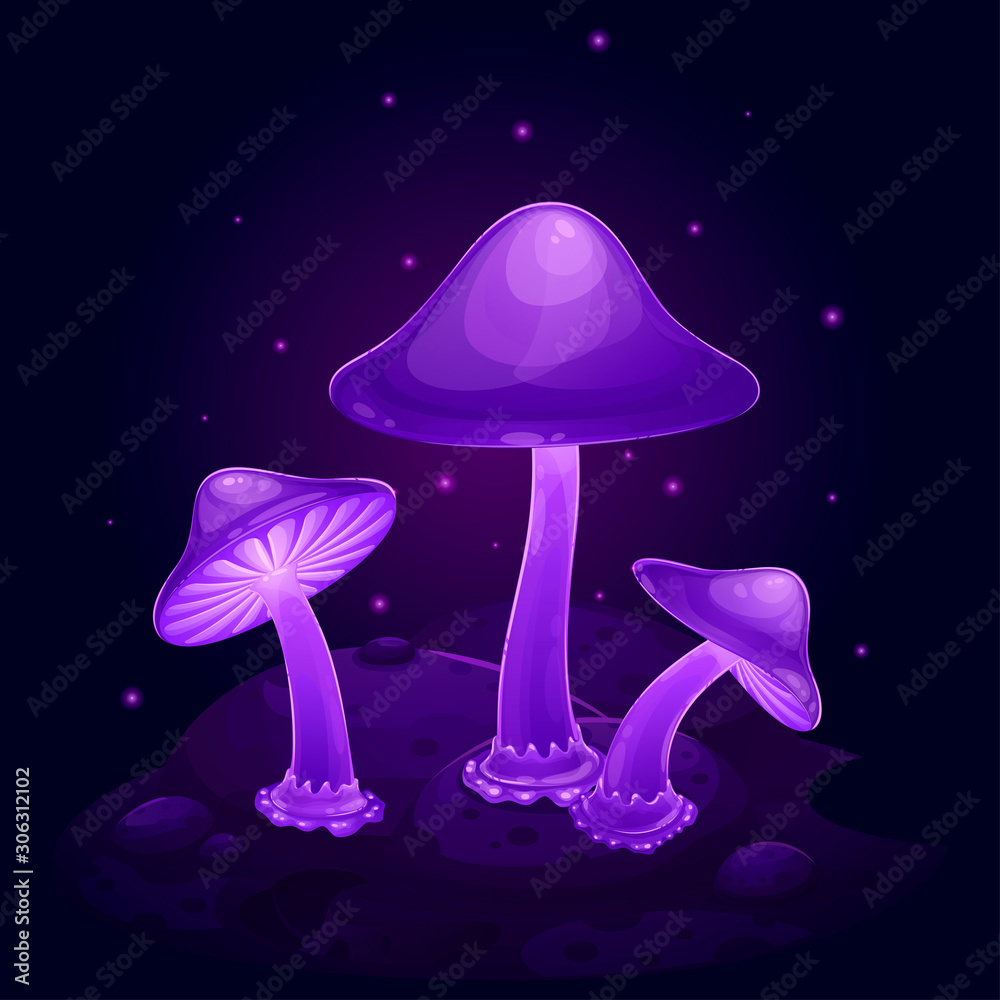 Purple luminous toadstool mushrooms in the dark on a bump, vector illustration on a dark background Purple luminous toadstool mushrooms in the dark on a bump, vector illustration on a dark background