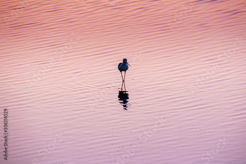 Coucher de soleil à La Grande Motte