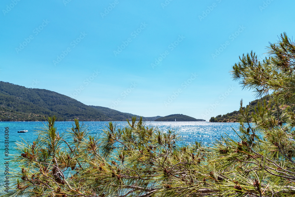 Beautiful view of the sea bay with islands through the branches of a conifer, Adriatic Sea, Croatia