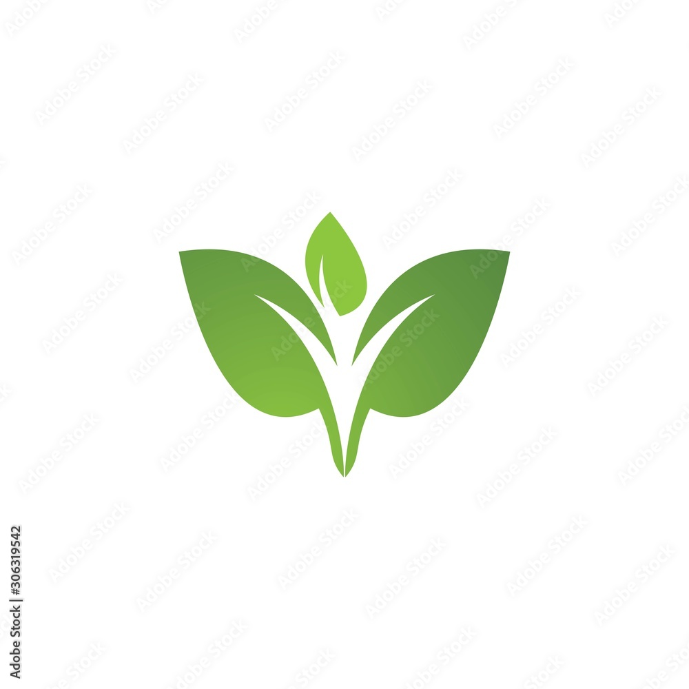 Eco Tree Leaf Eco Tree Leaf