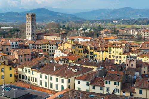 Medieval town of Lucca view from Guinigi tower, Tuscany, Italy 