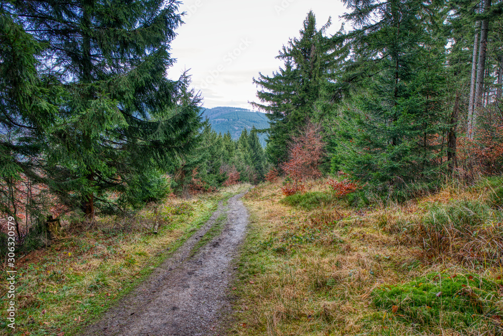 Gorgeous forest path in mountains in autumn, Czech Gorgeous forest path in mountains in autumn, Czech