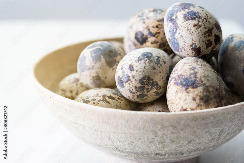 Obraz premium Quail egg on wood