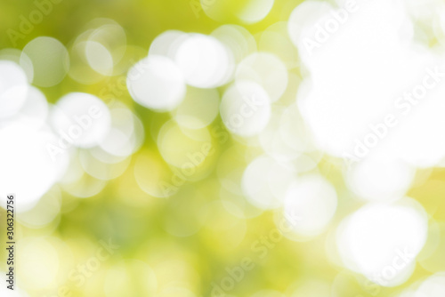 bokeh green background