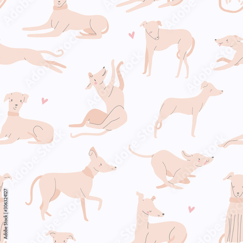 Vector seamless pattern with different Dogs. Playful dogs background. Whippet and Greyhound hand drawn texture.