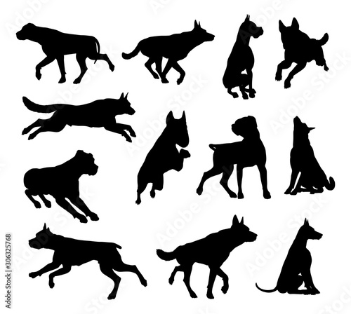 A set of detailed animal silhouettes of a pet dog