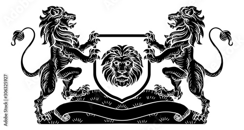 A lion heraldic coat of arm...