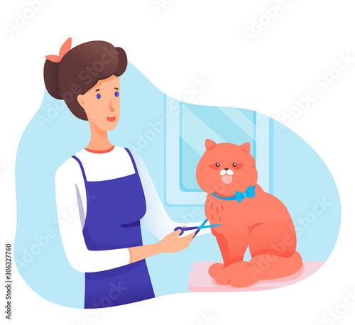 Cute cat at groomer pet hair salon flat cartoon