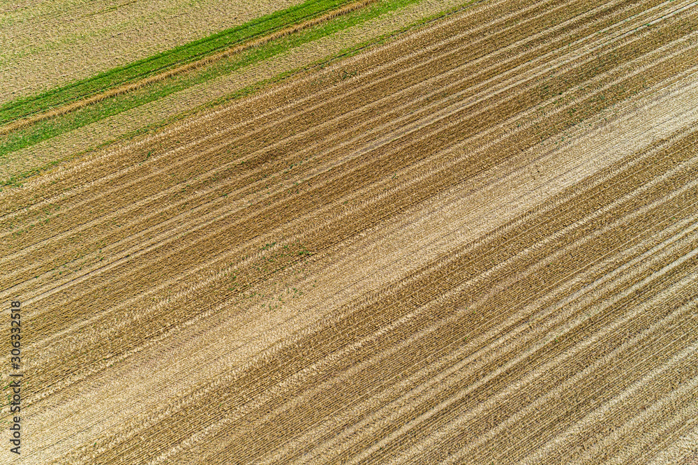 mowed agriculture field from above