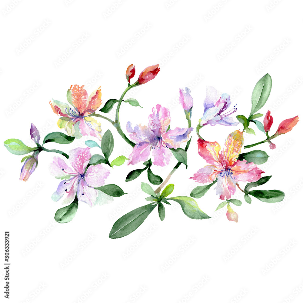Alstroemeria and orchids bouquet botanical flowers. Watercolor background set. Isolated bouquets illustration element.