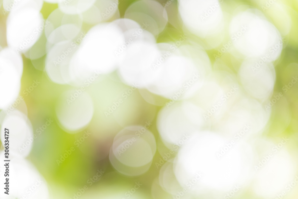 Obraz premium Bokeh green background