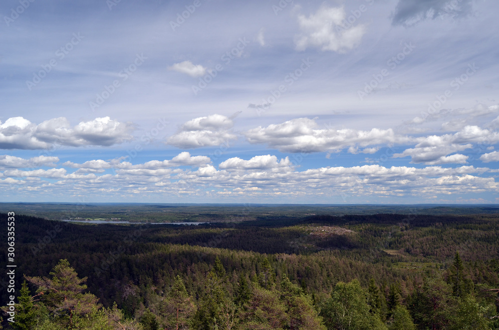 Aerial.Forest on a summer day in Central Norway. Sweden on the horizon