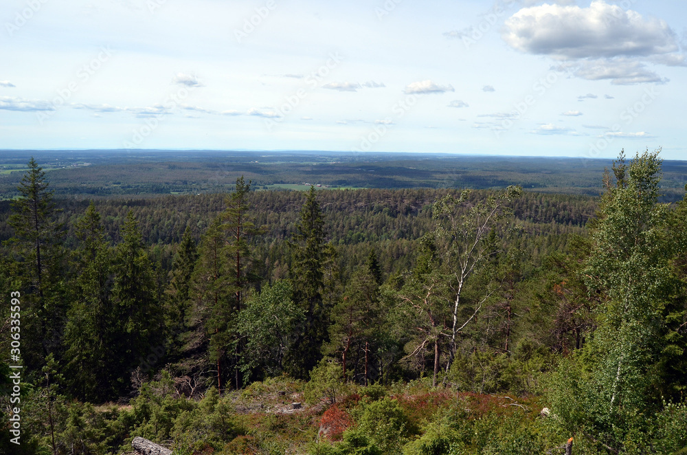 Fototapeta premium Aerial.Forest on a summer day in Central Norway. Sweden on the horizon