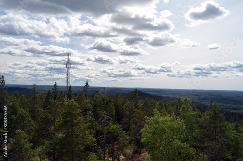 Aerial.Forest on a summer day in Central Norway. Sweden on the horizon