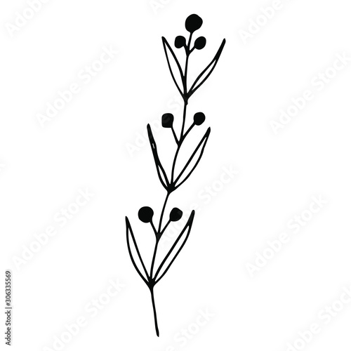 Hand drawn creative flower.  White background. Ink doodle illustration. Hand-drawn vintage  minimalistic black flower. Beautiful vector illustration.