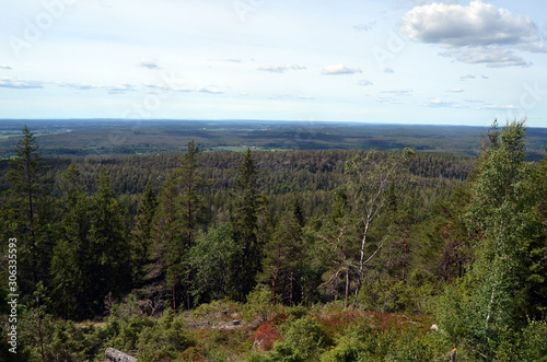 Aerial.Forest on a summer day in Central Norway. Sweden on the horizon