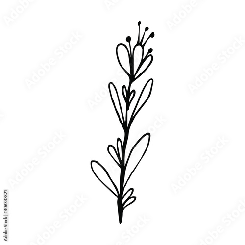 Hand drawn creative flower.  White background. Ink doodle illustration. Hand-drawn vintage  minimalistic black flower. Beautiful vector illustration.