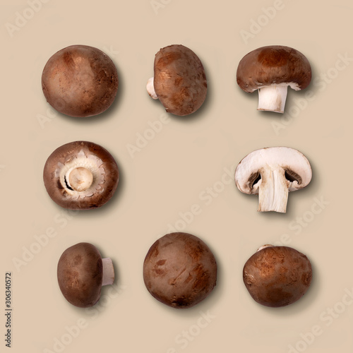 Wallpaper Mural Collection of mushrooms over brown  background Torontodigital.ca