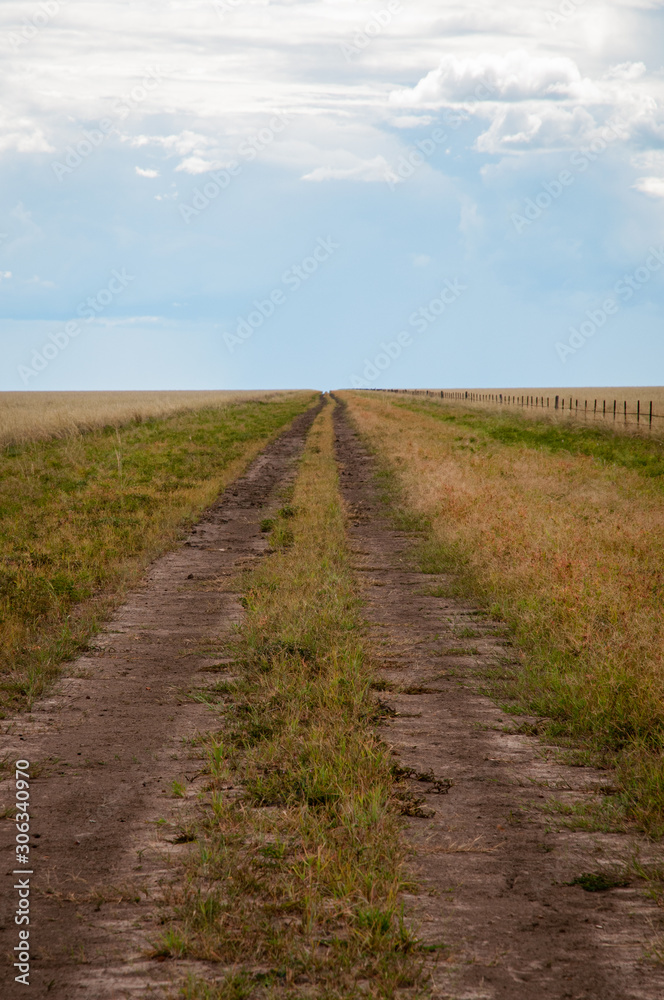 Northern Territory dirt track station road - Australia 