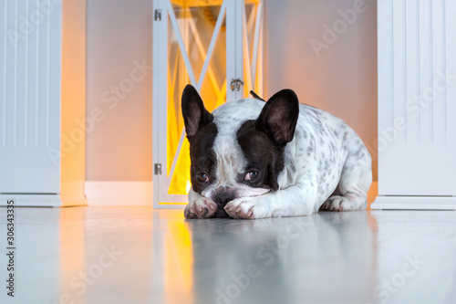French bulldog lying on the floor at the fireplace