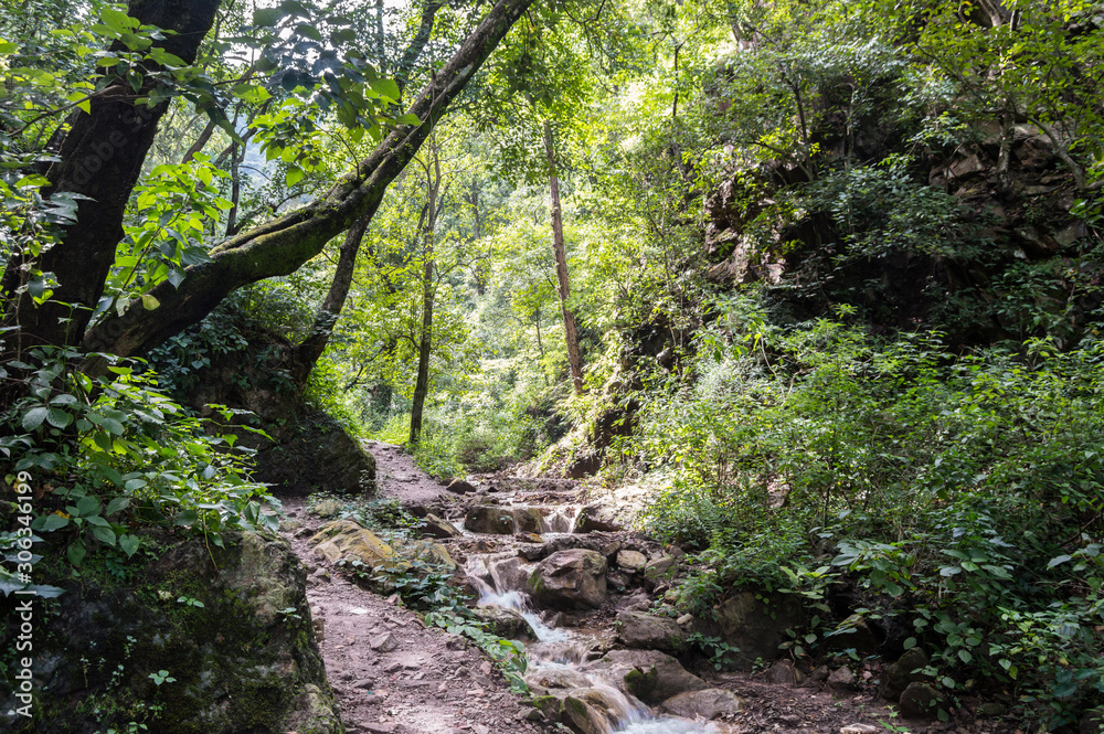 Cascades along the trail to Patna Waterfall in Rishikesh, India Cascades along the trail to Patna Waterfall in Rishikesh, India