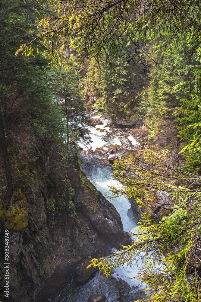 Der Reinbach bei Sand in Taufern, Suedtirol, Italien, The Reinbach near Sand in Taufers, South Tyrol, Italy