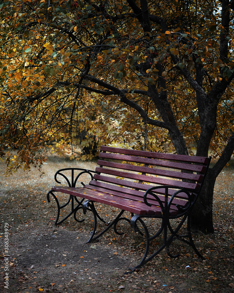travel photography, old red bench side view in autumn park under a tree with yellow leaves in the rays of light on foliage pattern background close up
