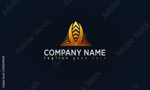 Company Gold Logo Design, Luxury Gold Concept Logo,