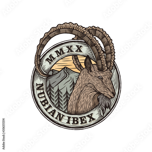 Nubian Ibex goat badge logo design illustration, animal wildlife Nubia ovis bearded long horns with nature mountain background simple minimalist sticker emblem icon. photo