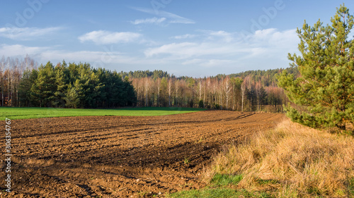 Krajobraz Podlasia, Wzgórza Sokólskie, Jesień na Podlasiu
