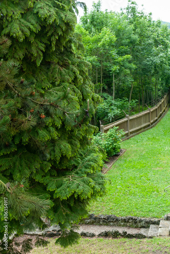 trees outside the fence of a small park