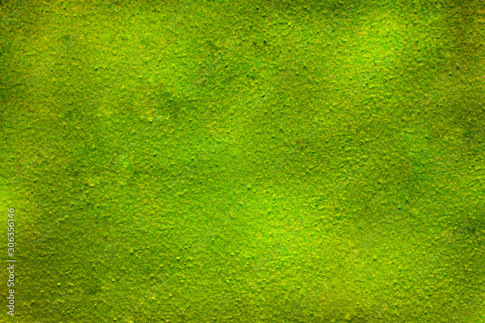 Green rough texture, stone wall Green rough texture, stone wall