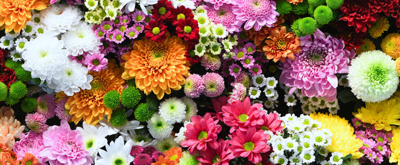 Flowers wall background with amazing red,orange,pink,purple,green and white chrysanthemum flowers ,Wedding decoration, hand made Beautiful flower wall background 