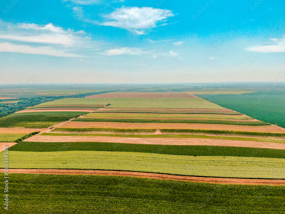 Obraz premium Agriculture fields