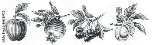 Cherries, apple, pomegranate and apricot set. Hand drawn engraving style illustrations.