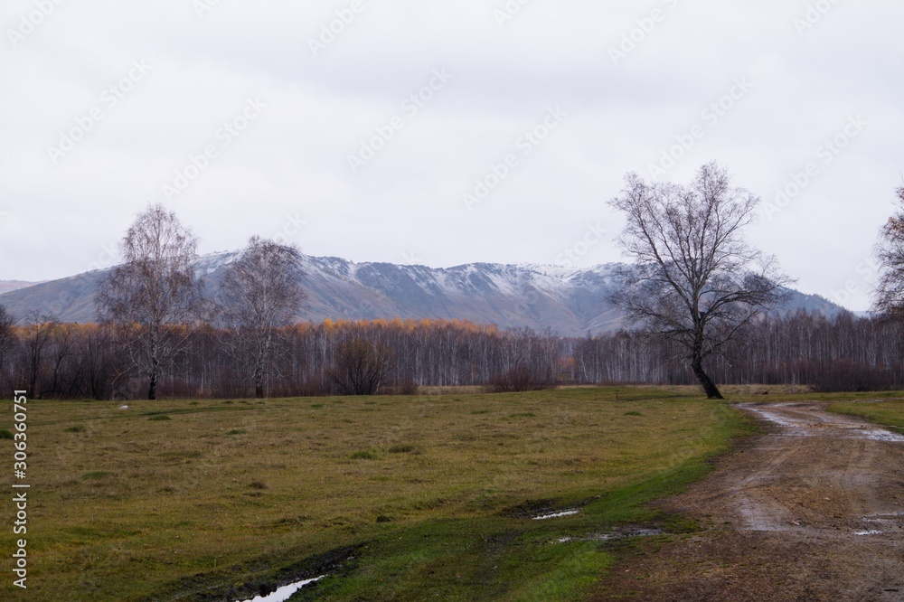 road in the mountains